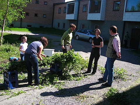 Abisko Juni 2009 dag 5 - 19.jpg